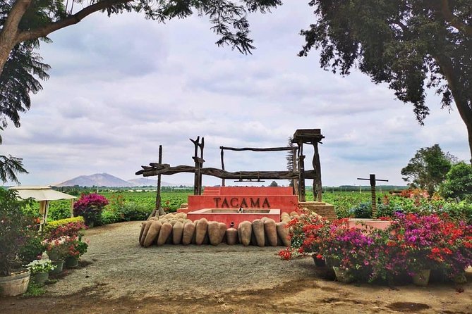 Winery and Pisco Distillery tour - Who will enjoy this tour most